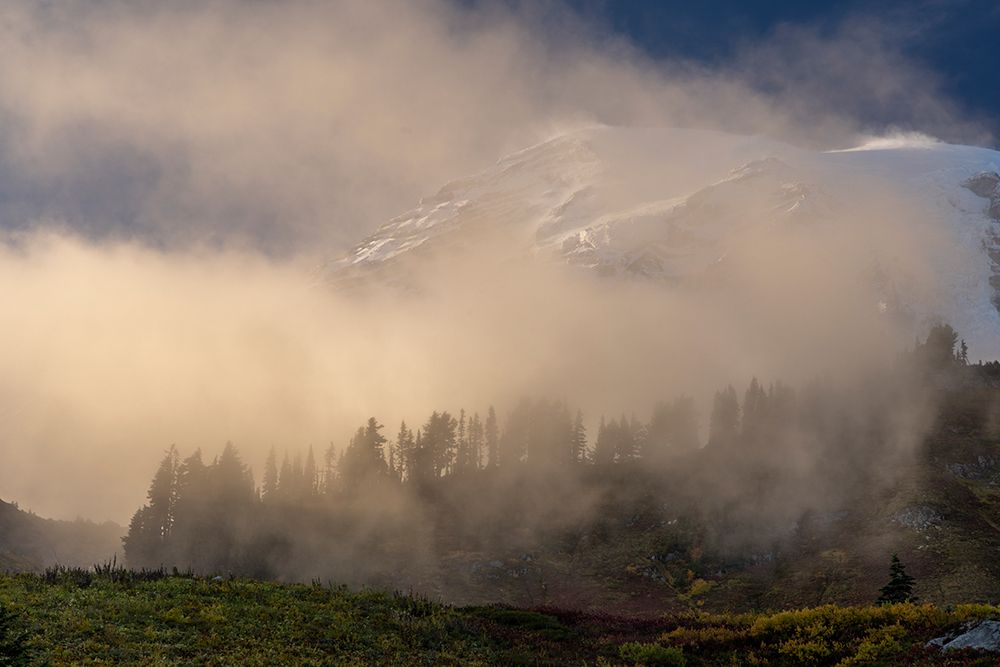 Fog Rolling in near sunset in Mount Rainier National Park, Washington State, USA